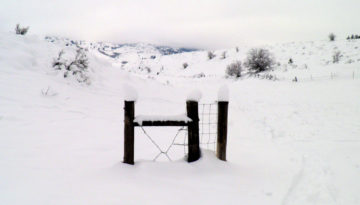 hi-gate-in-snow